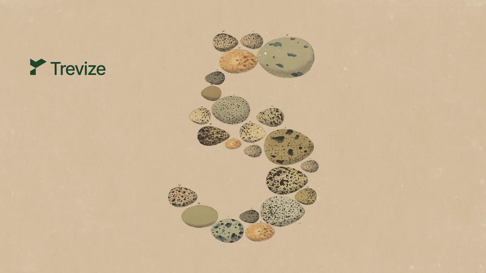 The Claude Opus 5 release illustration: a numeral five formed from vintage bird egg drawings, with the Trevize wordmark set alongside it.
